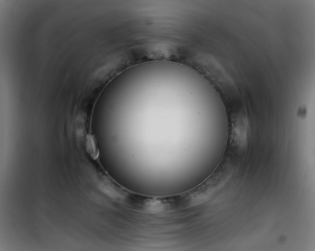 X0000101660616200807101255