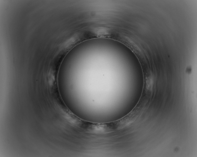 X0000101660618200807101255