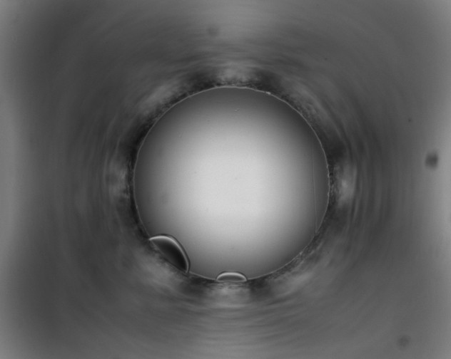 X0000101660619200807101255