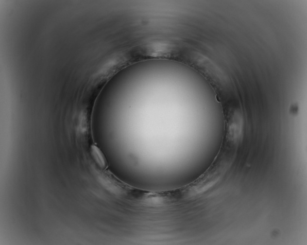 X0000101660620200807101255