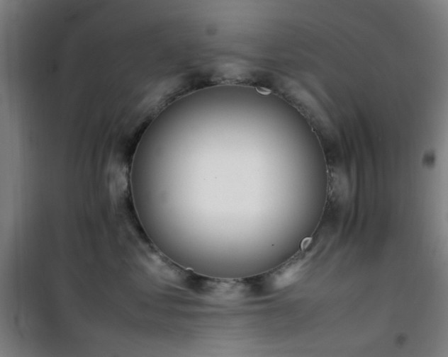 X0000101660621200807101255