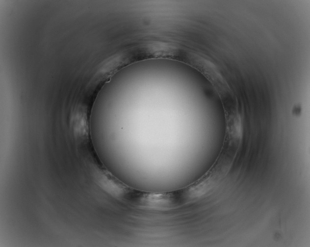 X0000101660622200807101255