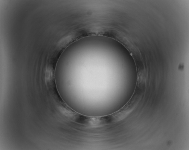 X0000101660623200807101255