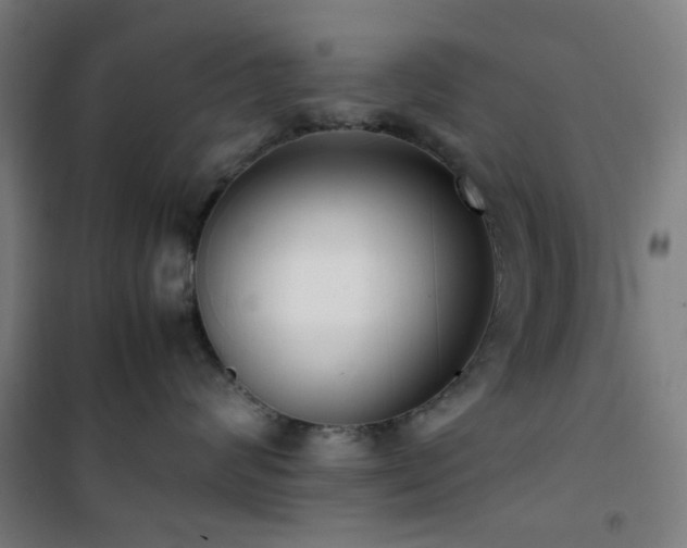 X0000101660624200807101255