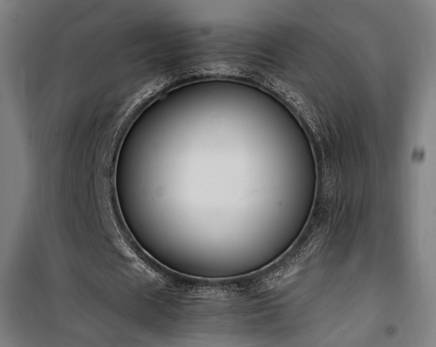 X0000101660625200807101254