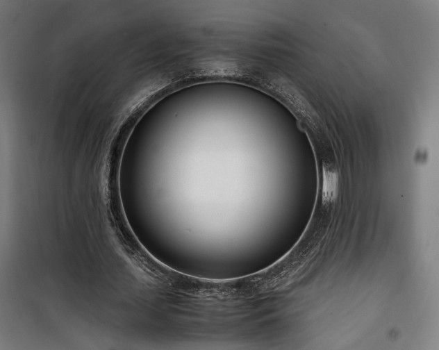 X0000101660627200807101254