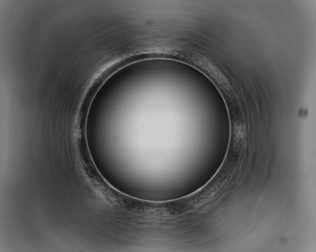 X0000101660628200807101254