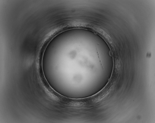 X0000101660629200807101255