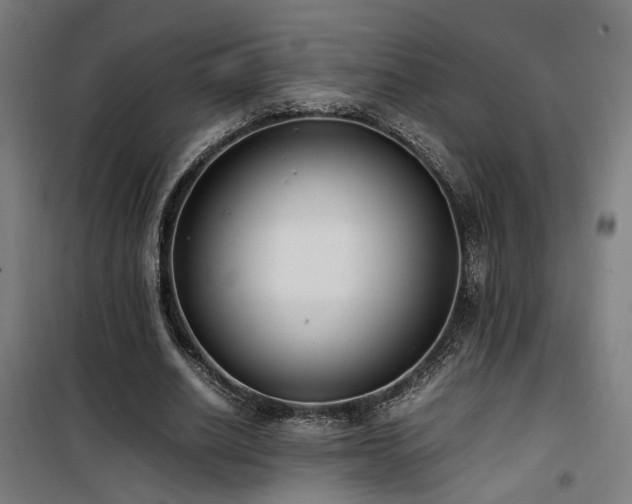 X0000101660630200807101255