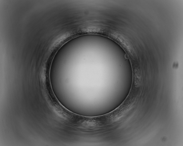 X0000101660631200807101255