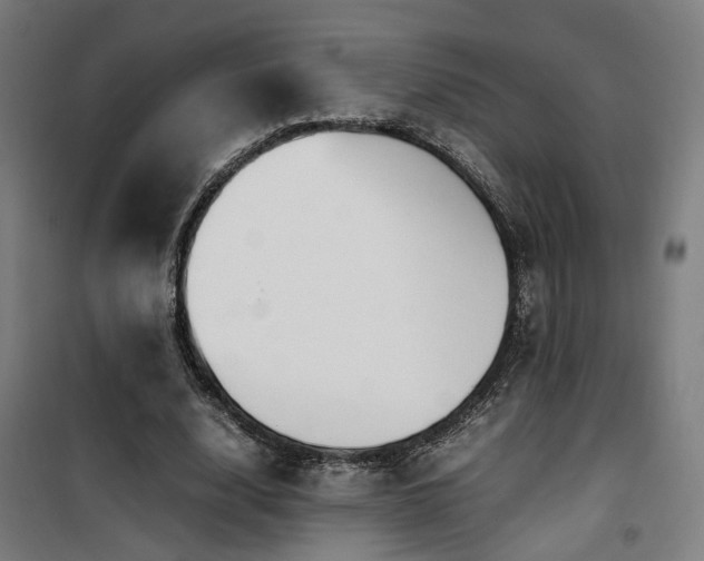 X0000101660632200807101255