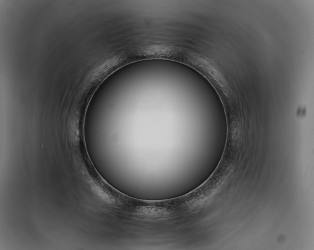 X0000101660633200807101255