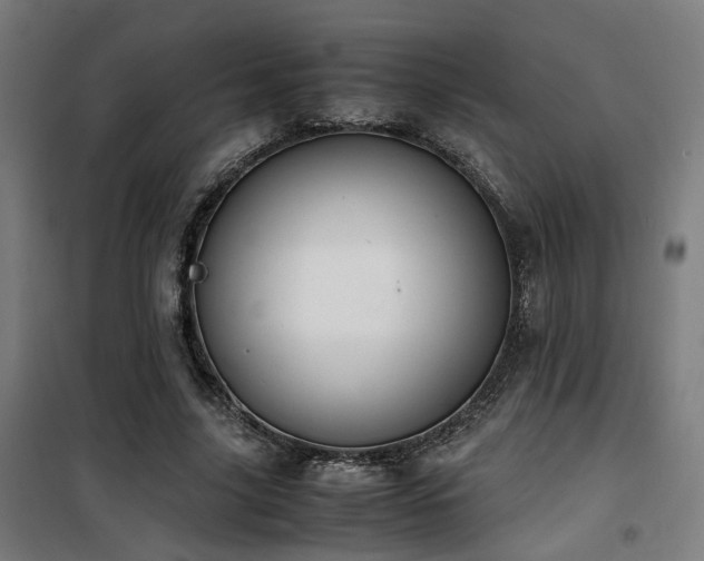 X0000101660635200807101255