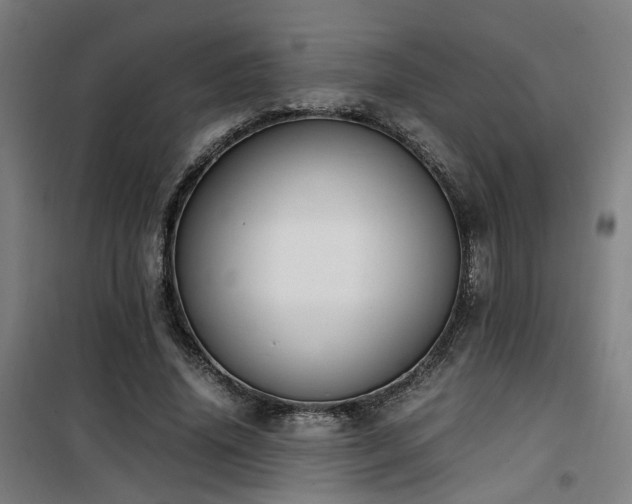 X0000101660636200807101255