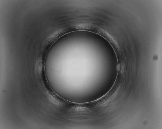 X0000101660637200807101255