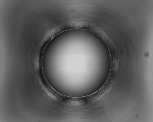 X0000101660638200807101255