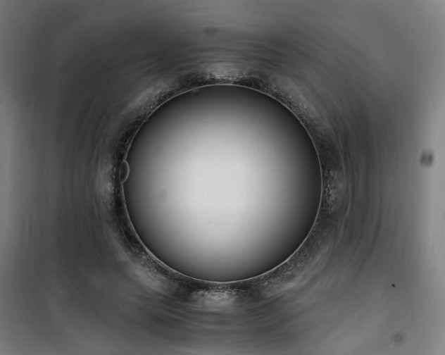 X0000101660639200807101255