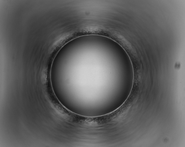 X0000101660640200807101255