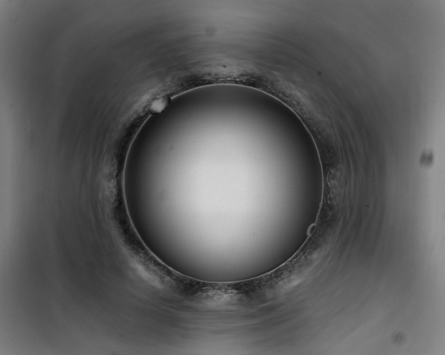 X0000101660642200807101255