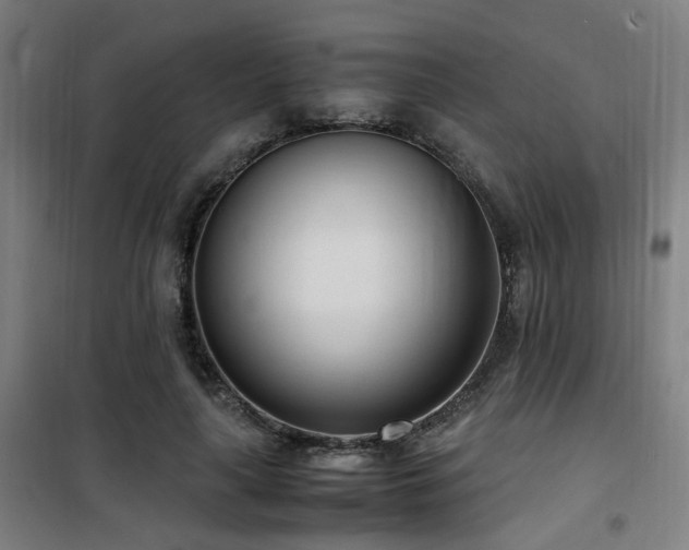 X0000101660643200807101255