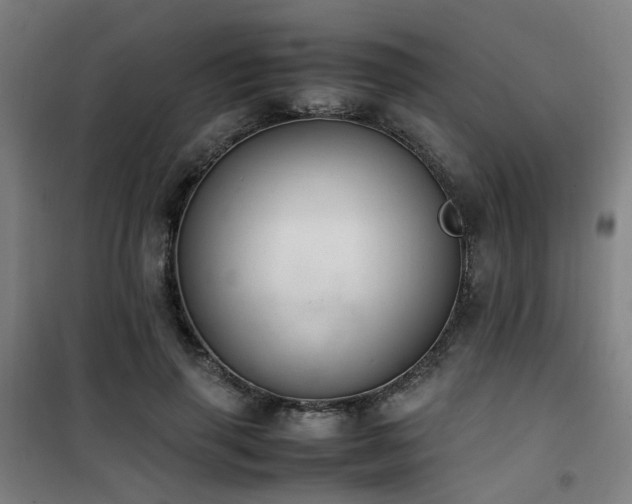 X0000101660645200807101255