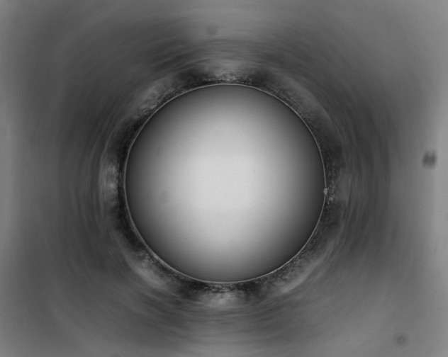 X0000101660646200807101255