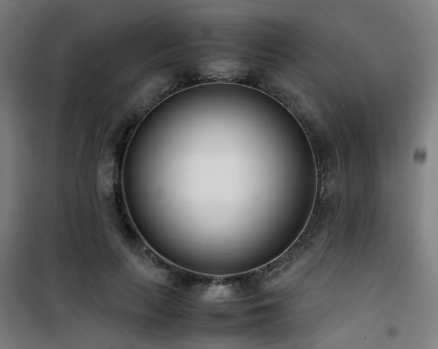 X0000101660647200807101255