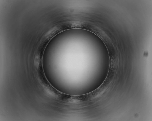 X0000101660648200807101255