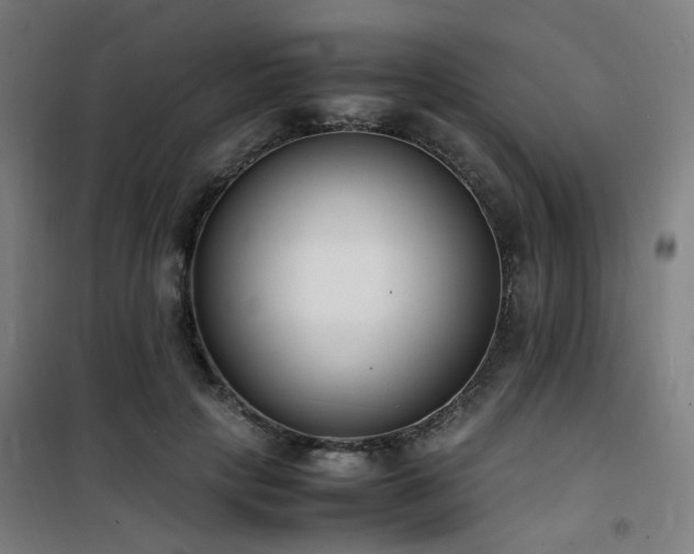 X0000101660649200807101255