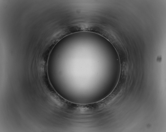 X0000101660650200807101255