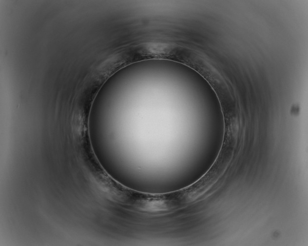 X0000101660651200807101255