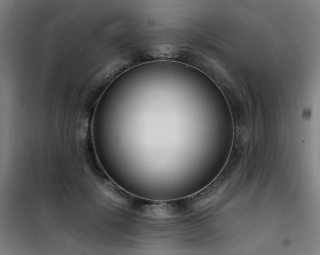 X0000101660652200807101255