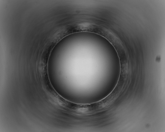 X0000101660653200807101255