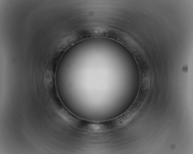 X0000101660654200807101255