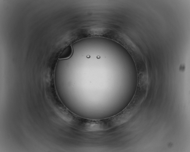 X0000101660655200807101255