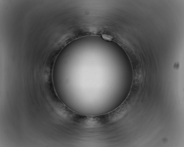 X0000101660656200807101255