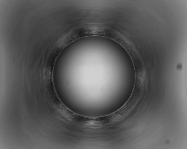 X0000101660657200807101255