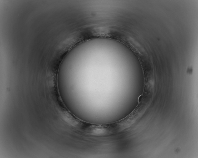 X0000101660658200807101255