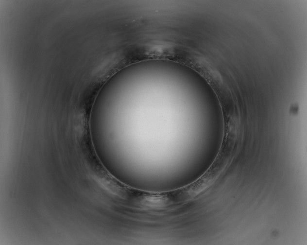 X0000101660659200807101255