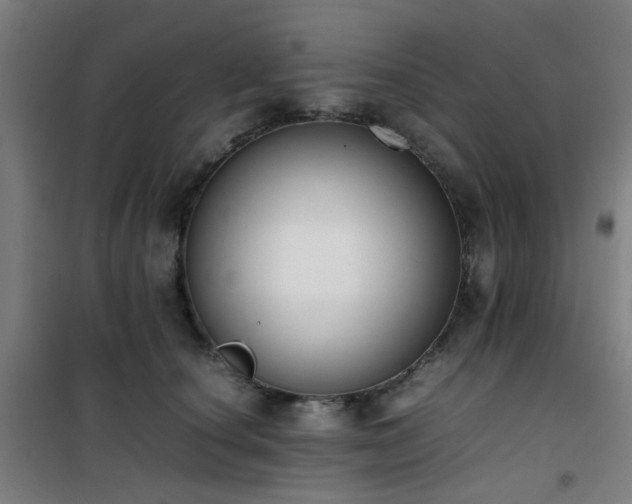 X0000101660660200807101255