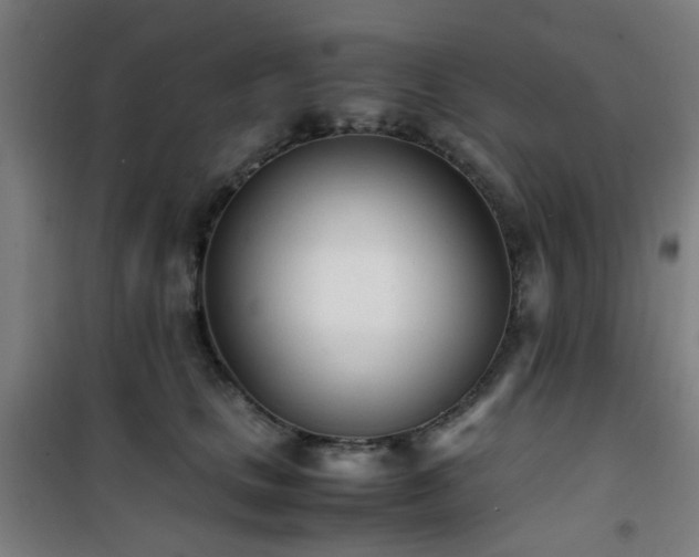 X0000101660661200807101255