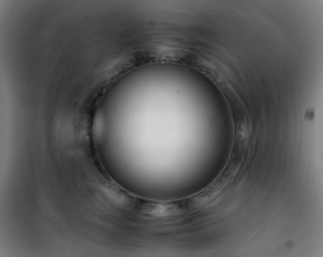 X0000101660663200807101255