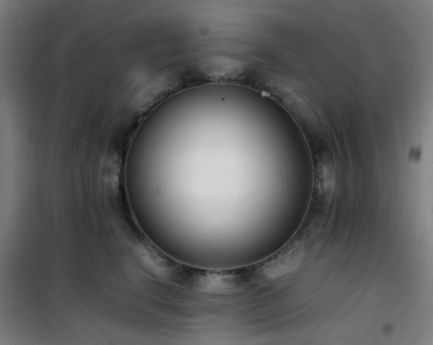 X0000101660664200807101255