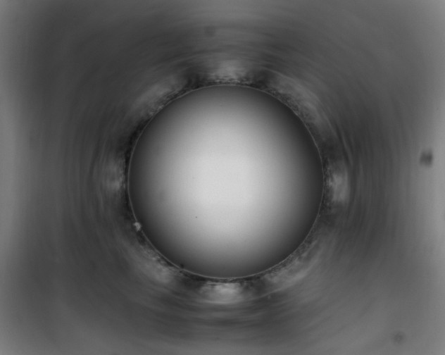 X0000101660665200807101255