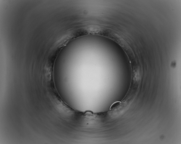 X0000101660666200807101255