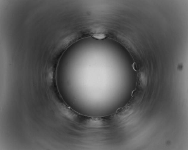 X0000101660668200807101255