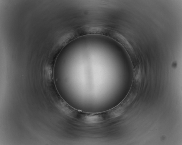 X0000101660669200807101255