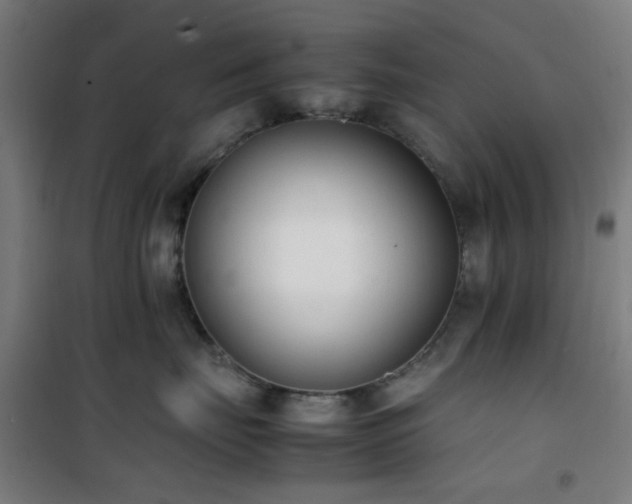 X0000101660671200807101255