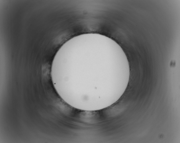 X0000101660672200807101255