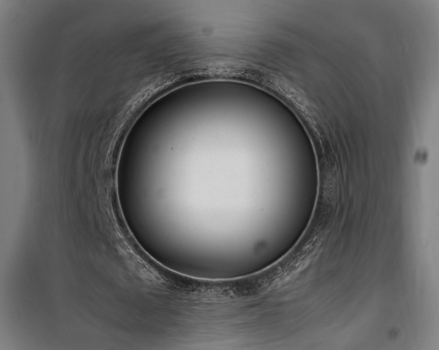 X0000101660673200807101254